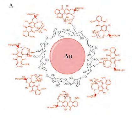 【合作实验】卡拉胶寡糖在抗肿瘤新型靶向制剂中的应用(图2) 【合作实验】卡拉胶寡糖在抗肿瘤新型靶向制剂中的应用(图2)
